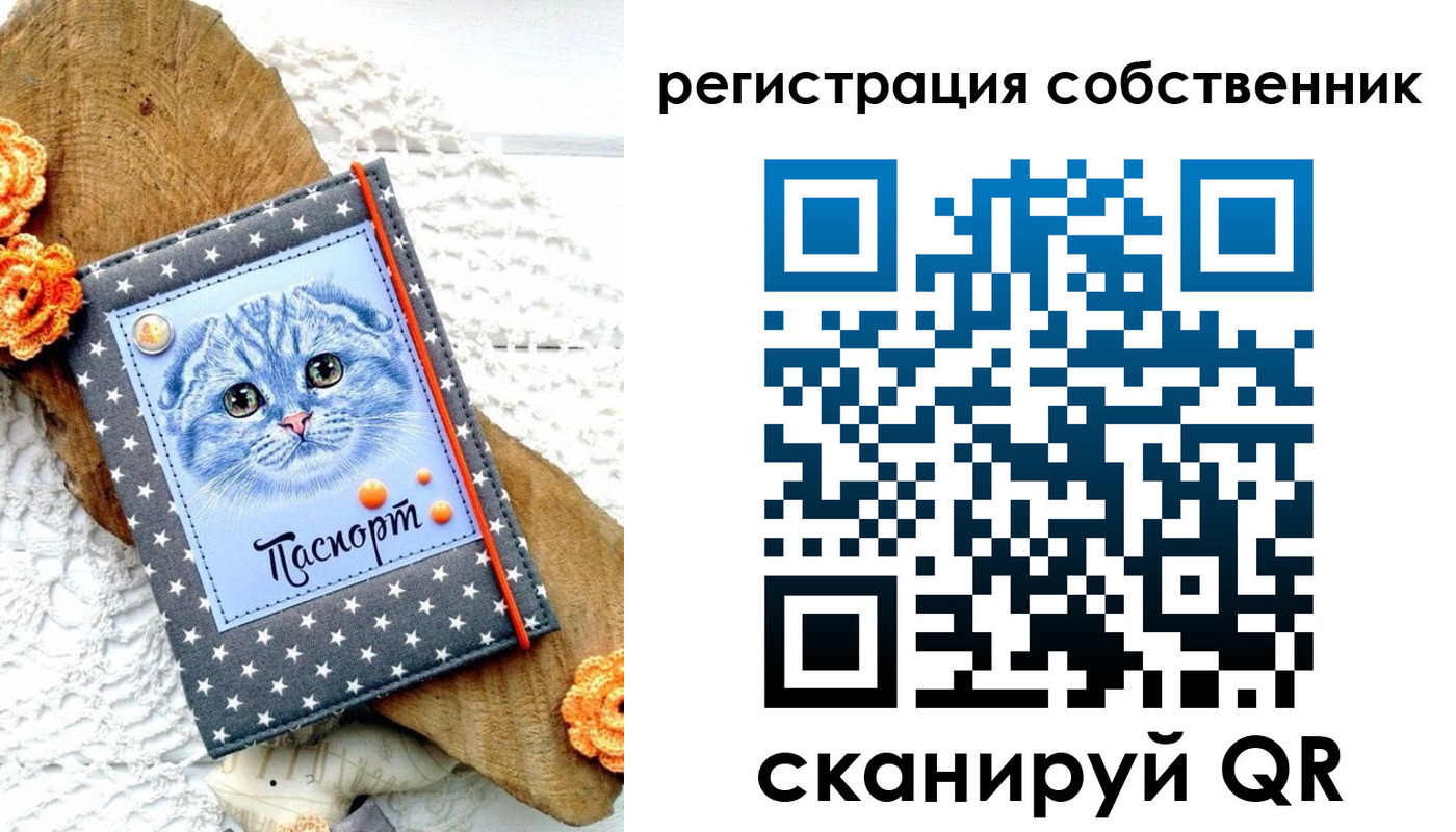прописка для работы в Ефремове